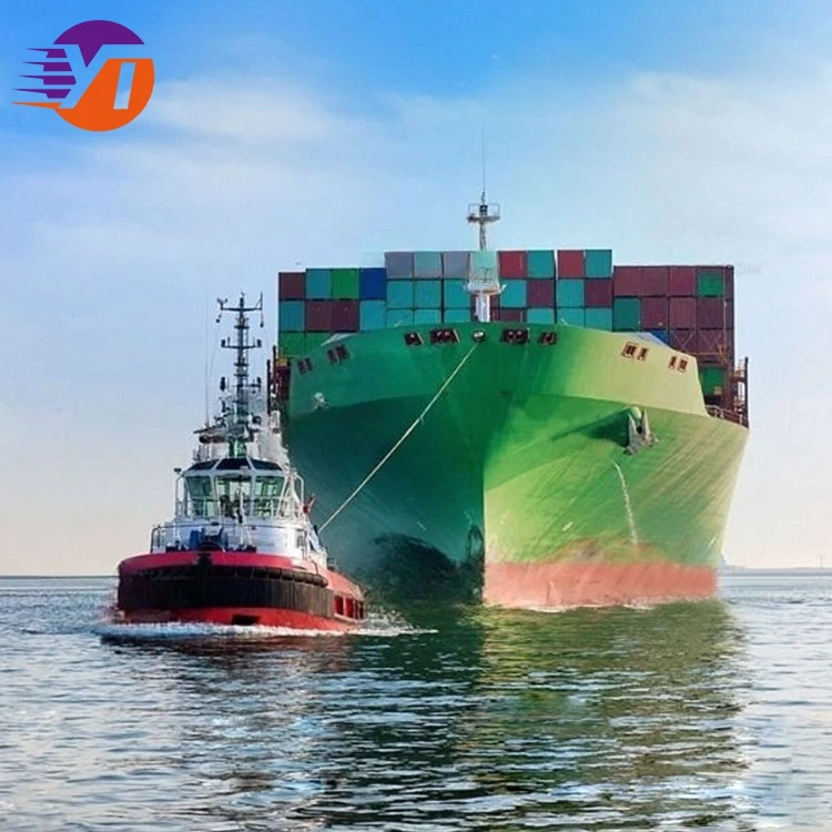 DDP Agent Sea China Freight International Shipping Forwarding Agent In Shenzhen To USA Canada UK Italy Germany France DDP