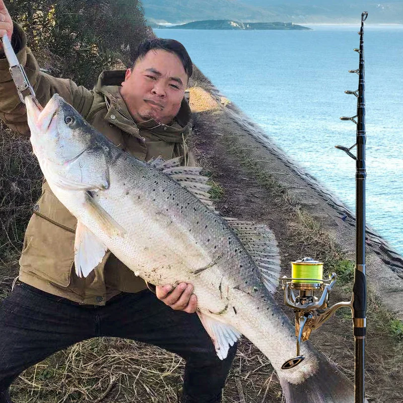 Updated LINNHUE OC fishing rods telescopic long-shot rod carbon fiber body good quality spinning rods fresh/saltwater fishing