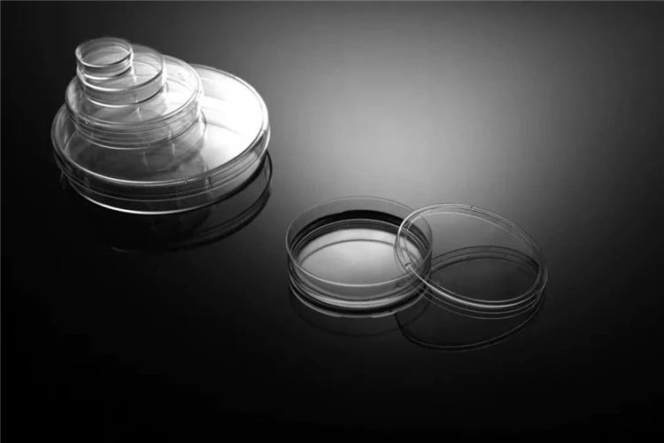 round petri dish