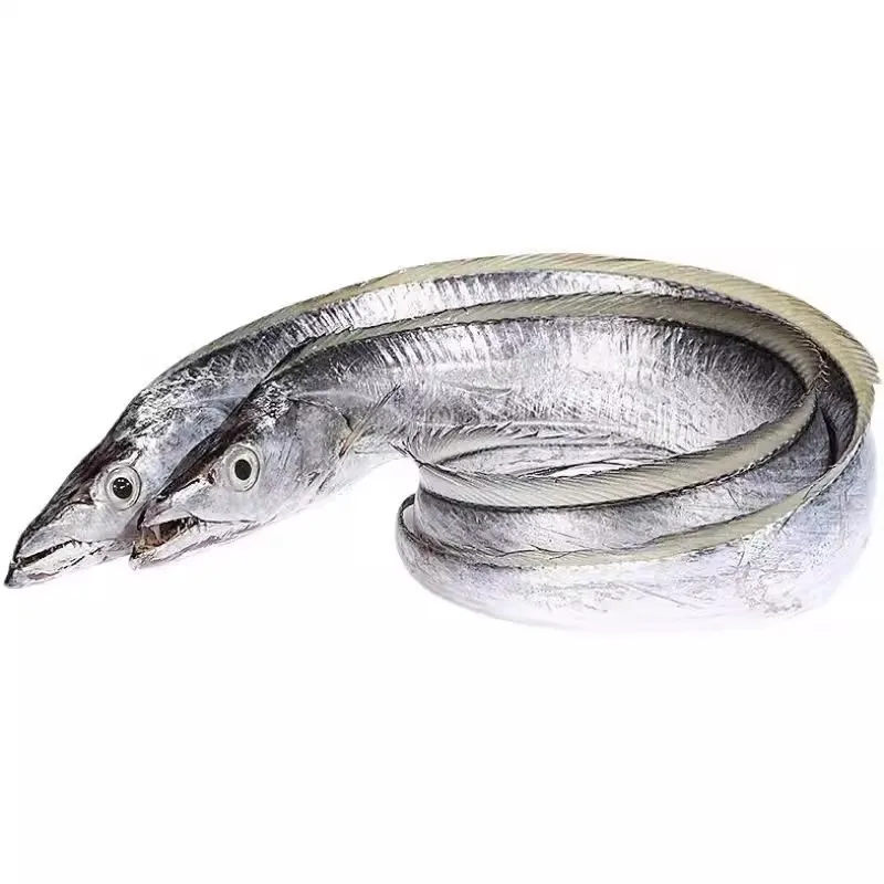 China High Quality salted Dried Largehead Hairtail Fish/Dried Ribbon Fish Delicious Seafood