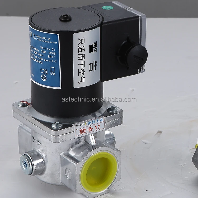 Cupola gas pipeline fittings 220V solenoid valve rp1/2