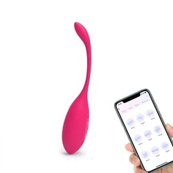 Levett Best Selling Wearable Panties App Controlled Vibrator For Women Vibrating Egg Kegel Ball Long Distance Control