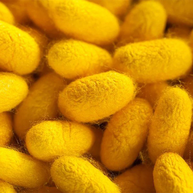 Reliable Quality Cheap Price Skin Care Gold Yellow Silk Cut Cocoon Skin Care Silkworm Cocoon