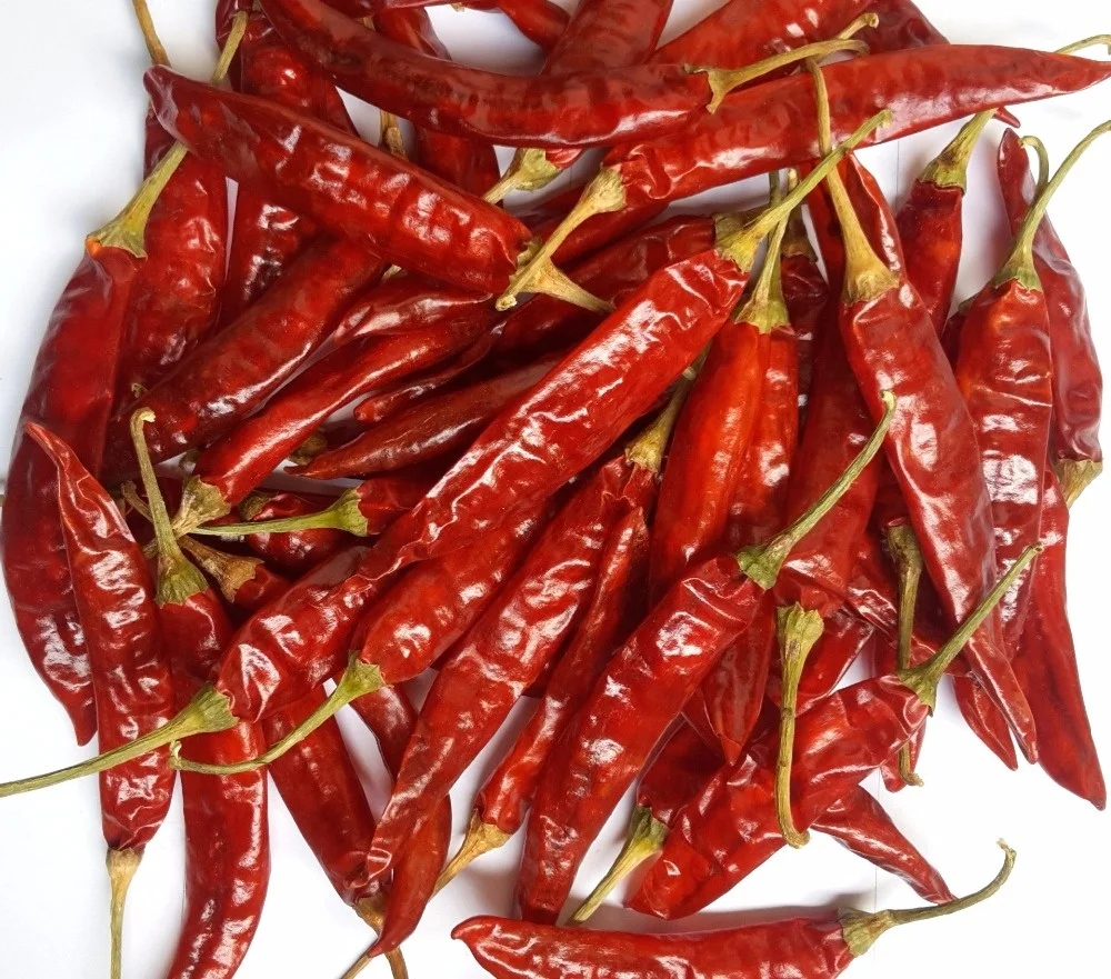 Dry Red Chilli