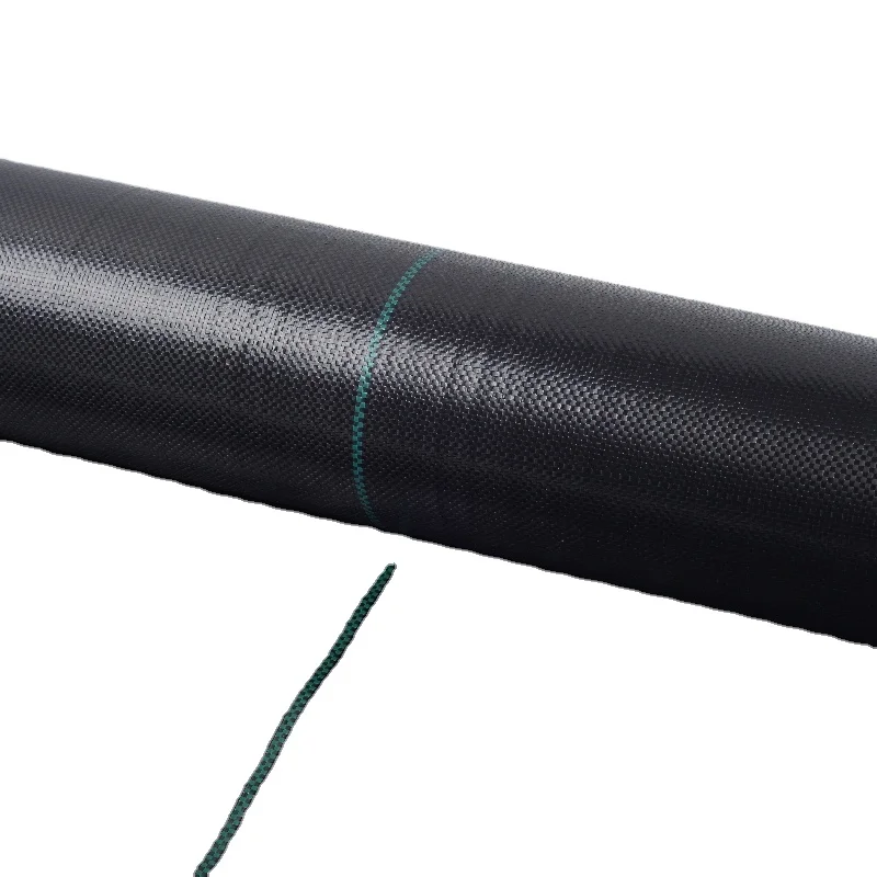 Chinese geotextile manufacturers woven Polypropylene For industrial PP Plastic Geogrid Composite Fiber Needled