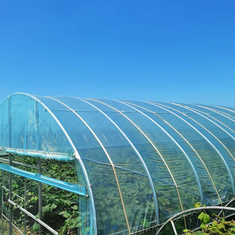 heat resistant 200 micron greenhouse film 20 light diffusion clear fog resistant  greenhouse film with high quali