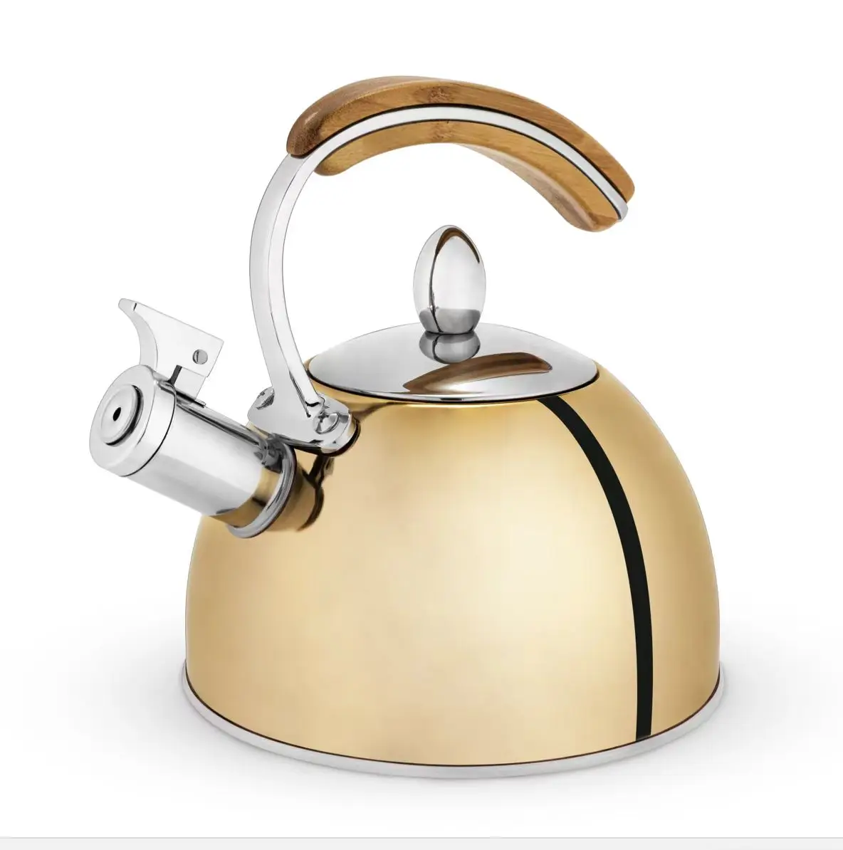 Kettle for Gas Stove Water Boil Stainless Steel Coffee Boil Teapot Stovetop Hot Water Kettle Whistling