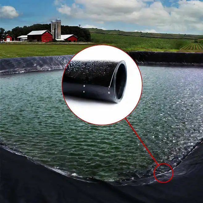 HDPE LDPE LLDPE waterproof pond liner drainage membrane geomembrane films membrane liner