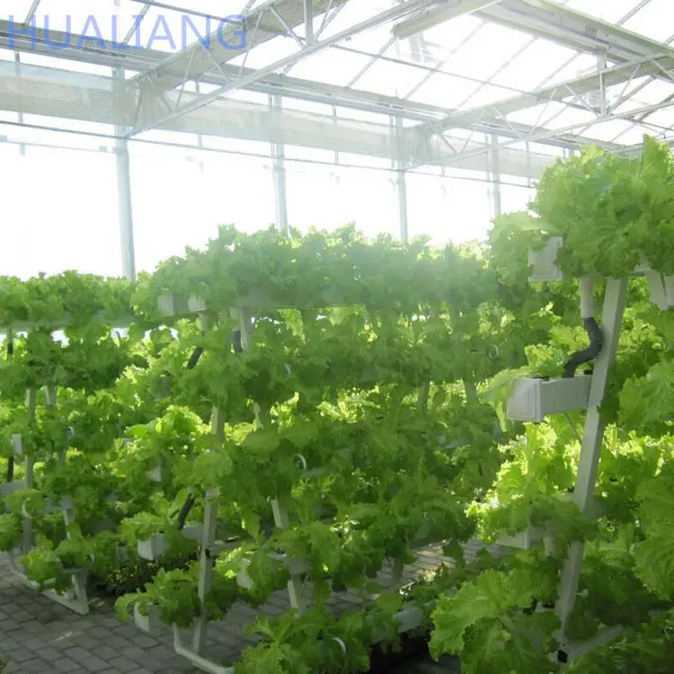 
ZeHui manufacturing Vertical Hydroponics Farm For Sale Vertical Hydroponics systerm greenhouse 