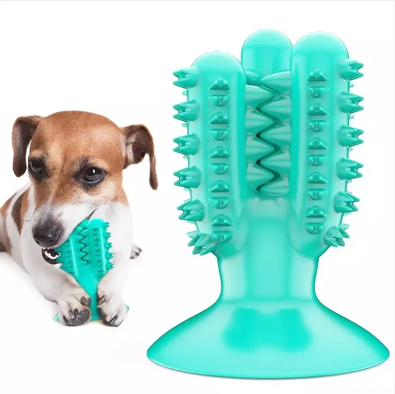 Manufacturer Wholesale Cactus Shaped Pet Bone Cleaning Dog Cat Toothbrush Chew Toy