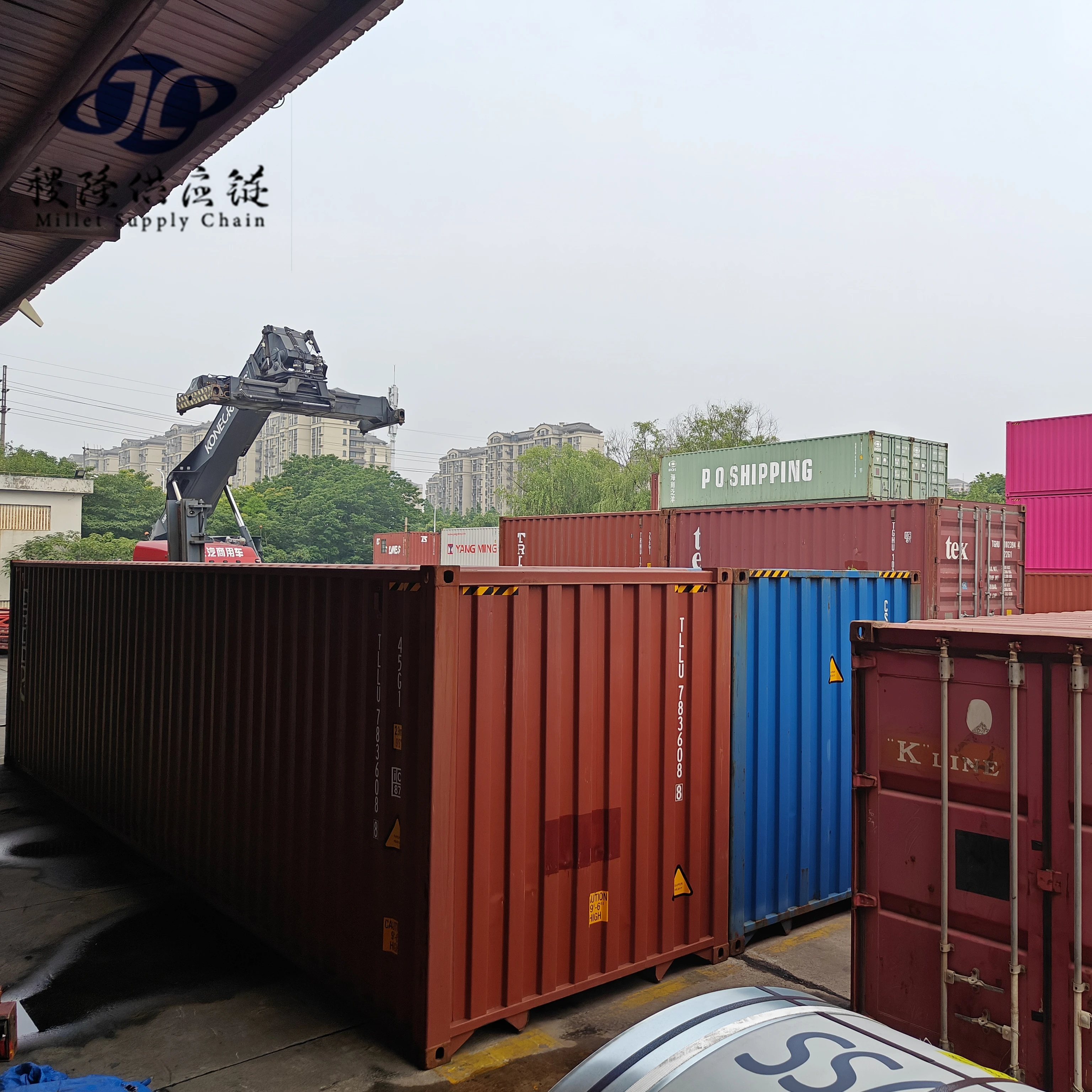 Professional and Cheapest Sea Shipping Agent Freight Forwarder  Shipping Company  Shipping Agent From China To USA