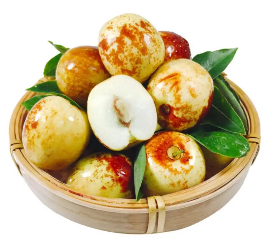 
Fresh Style New Crop Export Grade Jujube fruits Winter Jujube In New Zealand 