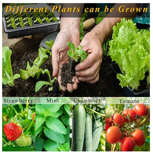 Reusable 12 Holes Seed Germinating Plant Nursery Seeding Starter Growing Trays Silicone Seedling Tray