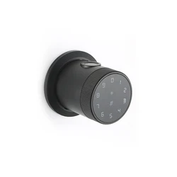 Home Fingerprint Digital Temporary password Tuya App Smart Door Lock Safe