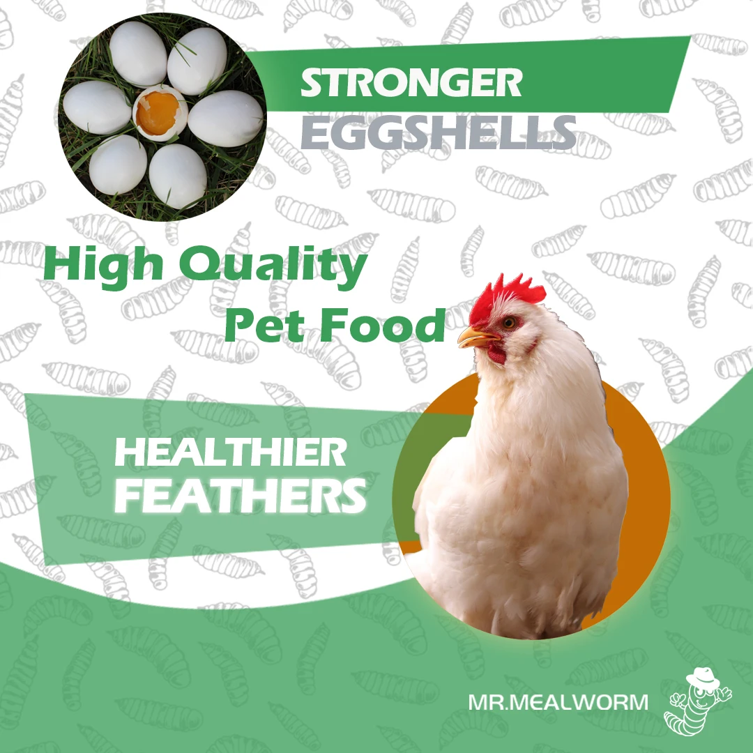 Best Selling VITAMINS & MINERALS Food Icon For Fish Raw Meat Vegetables Etc VITAMINS & MINERALS Hikari Frozen Fish Food