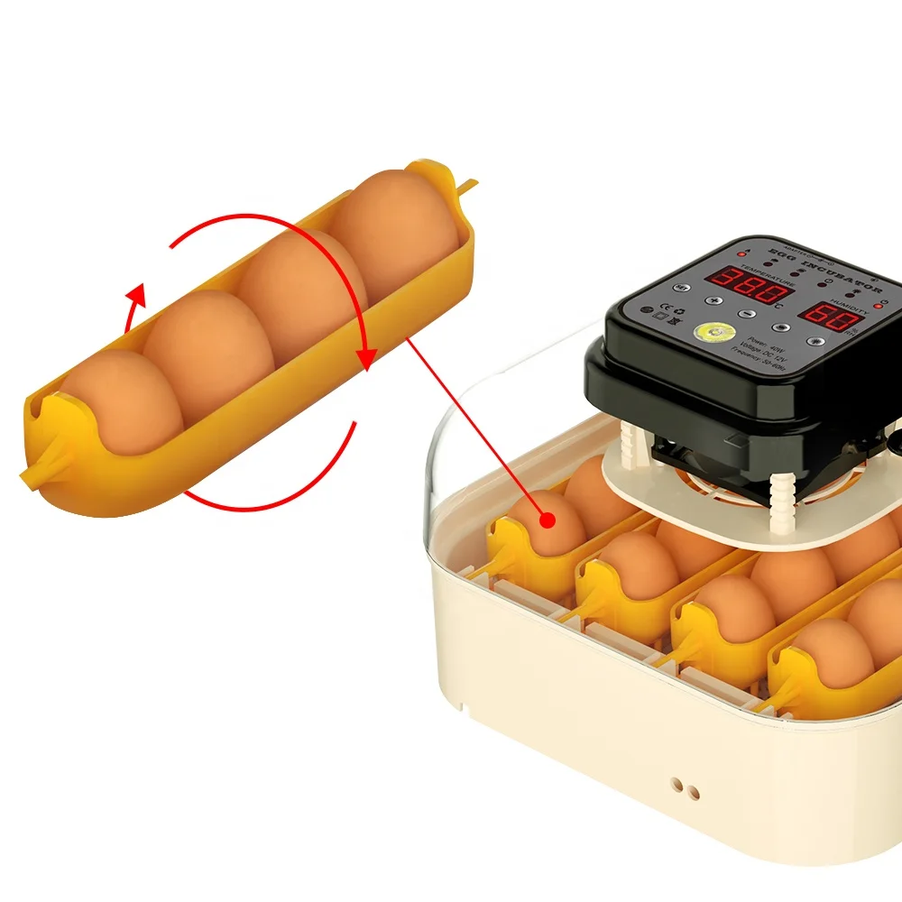 Hot sale new model 30 eggs smart automatic clear window chicken poultry egg incubators sale