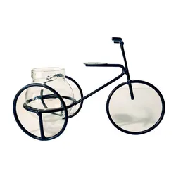 Retro iron three-wheeled bicycle model can be planted hydroponic green plants with glass containers