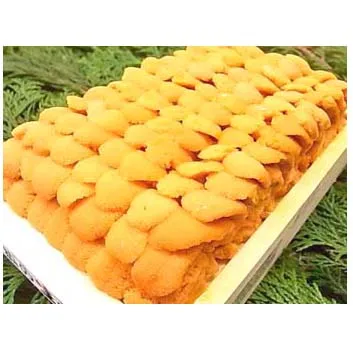 
Supply reasonable price wholesale the sea urchin live with good price 