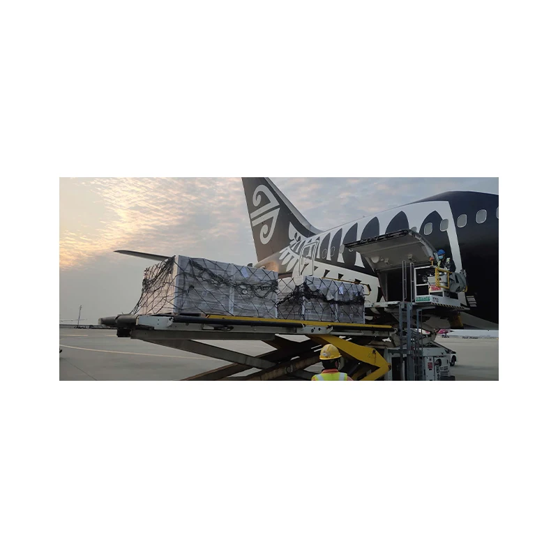 
New Zealand/Korea/China Reliable LCL Fast Shipping Agent Sea Based Shipping Freight Forwarder 