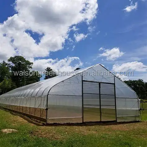 Anti Aging Clear Greenhouse Film for 3 Years Agricultural Greenhouse Polyethylene Film greenhouse