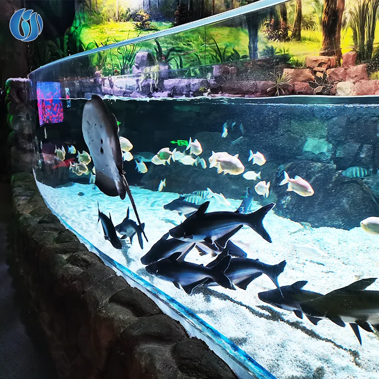 Aquariums Ocean Park Irregular Clear Acrylic Plastic Fish Tank Aquariums Tank Fish Large Acrylic