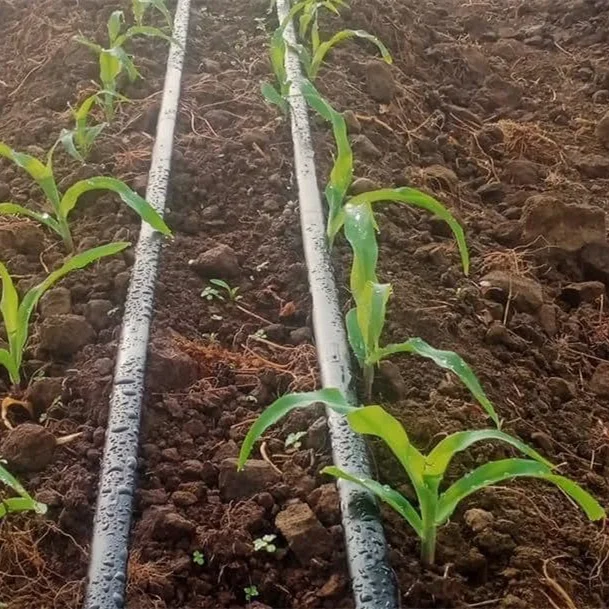 Cinta Para Riego Por Goteo De 8Mm Systeme Irrigation Goute A Goute 16mm Cinta De Riego Por Goteo Para Maiz Con Agujero A 10mm