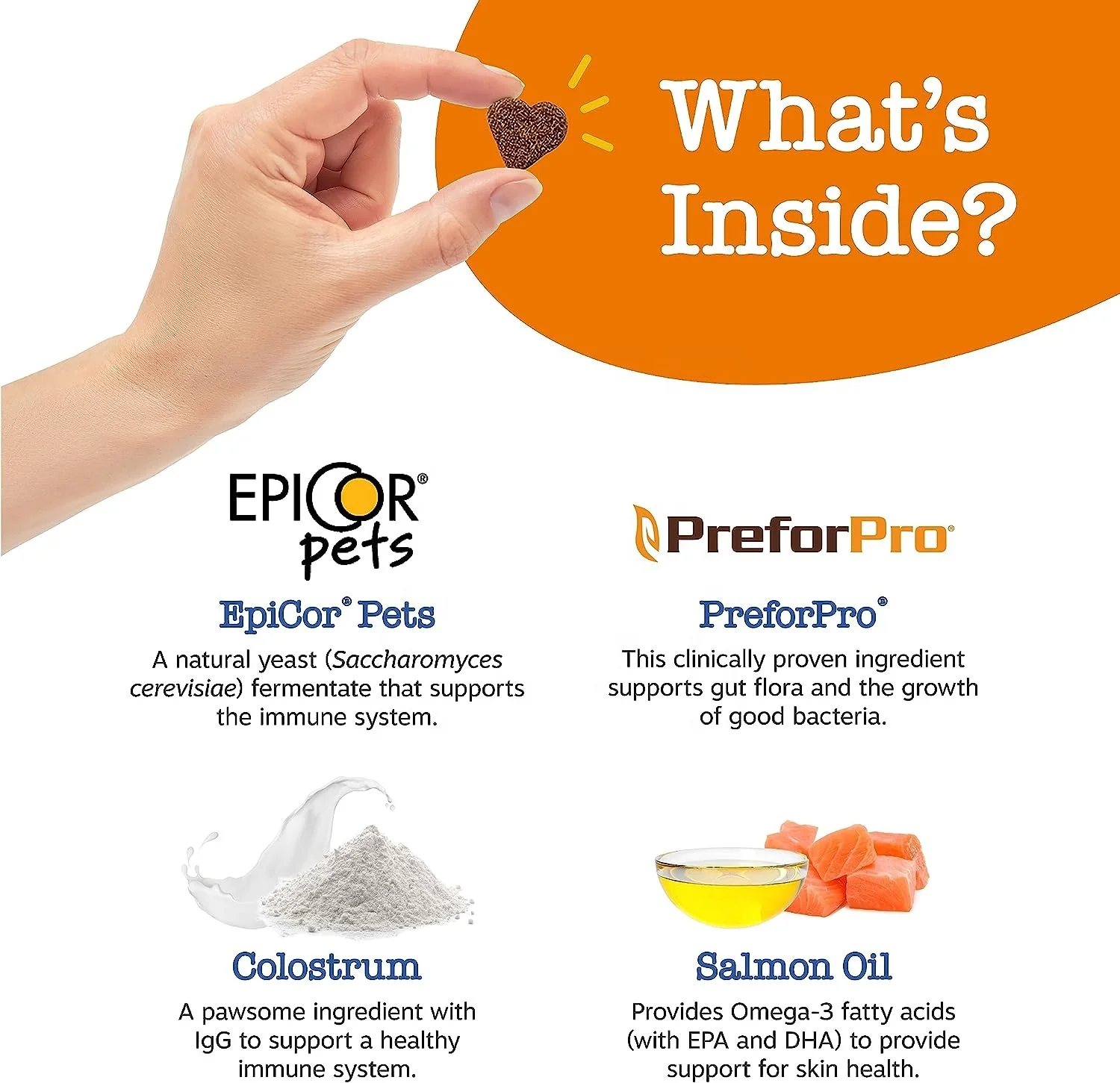 Wholesale Pet Food Cognition Soft Chews for Dogs with DHA & Alpha GPC Senior Dog Brain Health & Nervous System Support