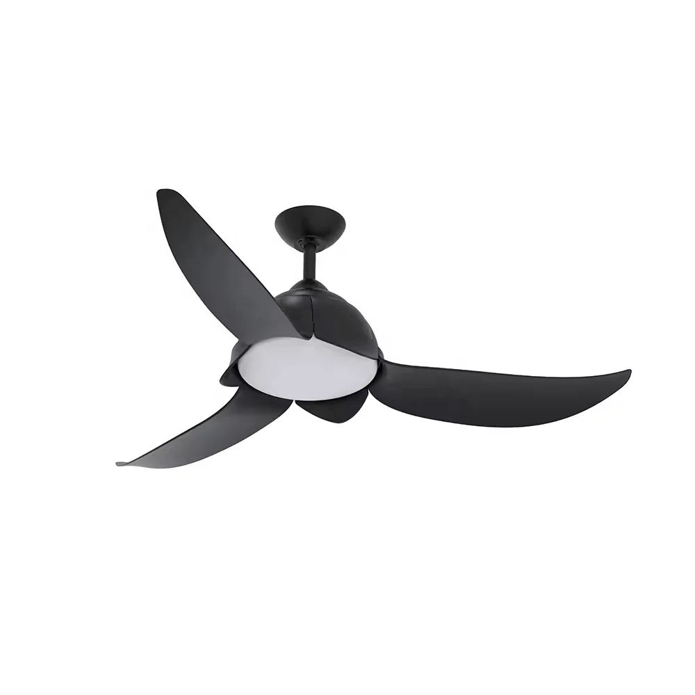 ceiling fans with light