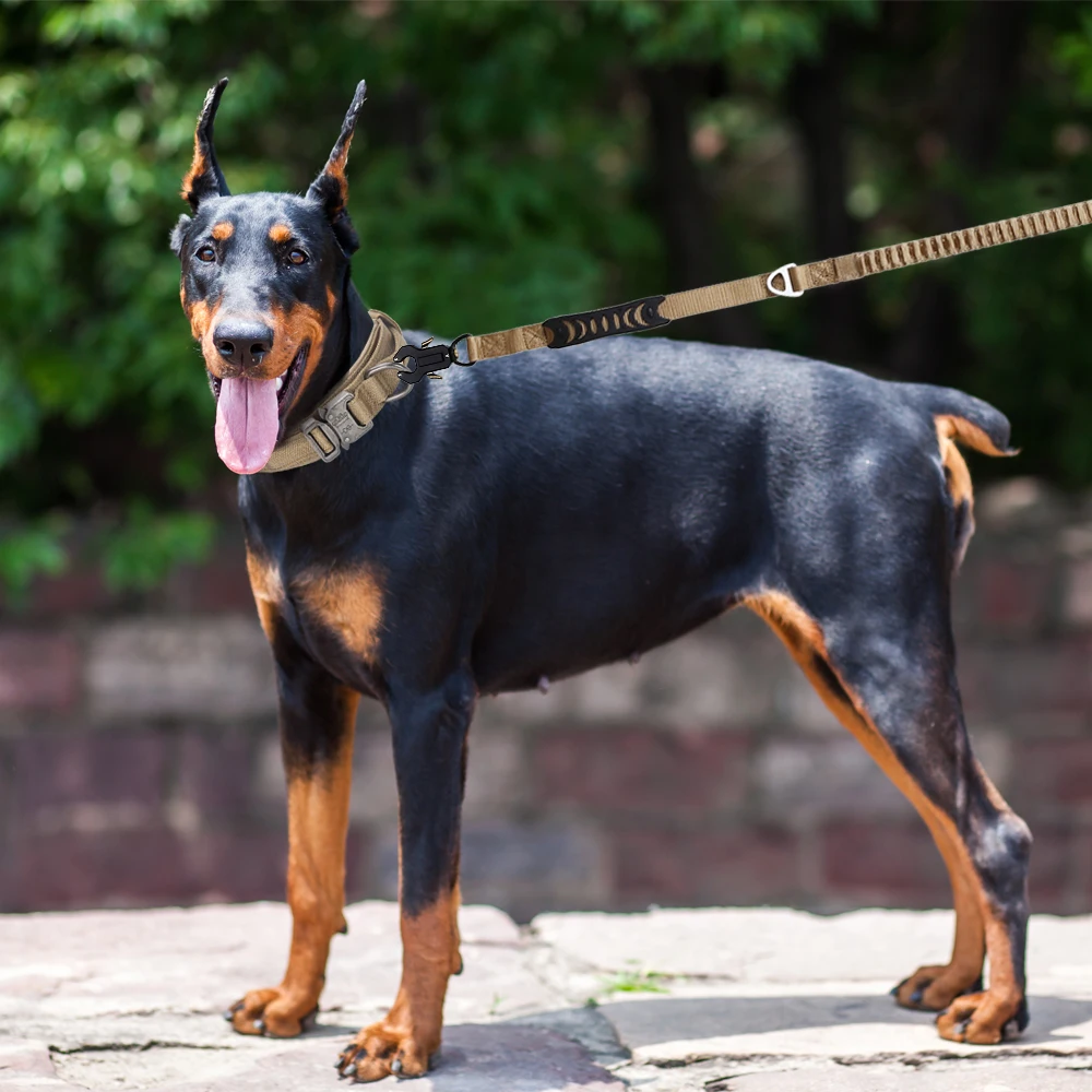 Custom Dog Lead Collar With LOGO Adjustable Quick Release Metal Buckle Pet Elastic Bungee Dog Leash Tactical Dog Collar