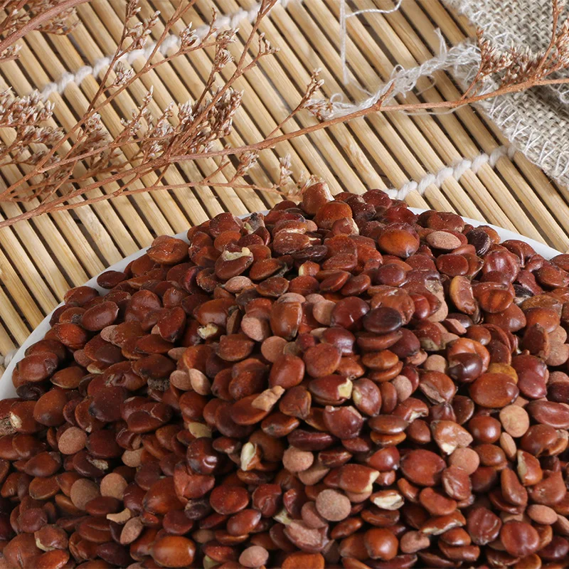 Suan Zao Ren Natural Ziziphus Jujuba Mill. Var. Spinosa Seeds Kernel Raw Semen Ziziphi Spinosae for Herb