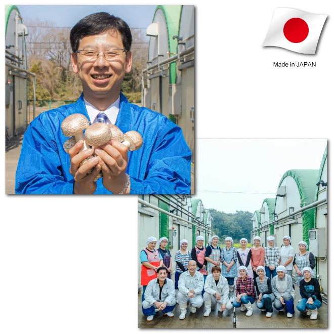 
Senseiro SSG+ Agaricus extract M wholesales packing male supplement 