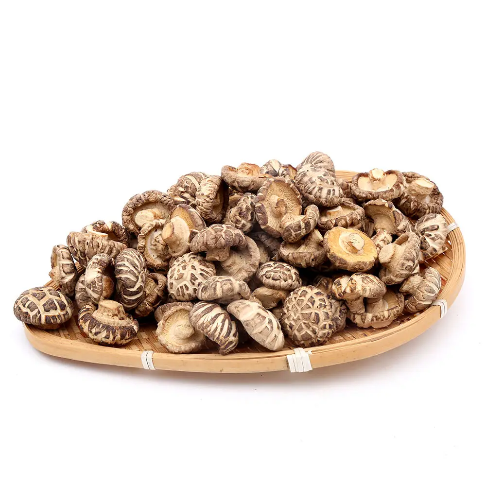 2023 China Dried Mushrooms Flower Mushroom For Sale