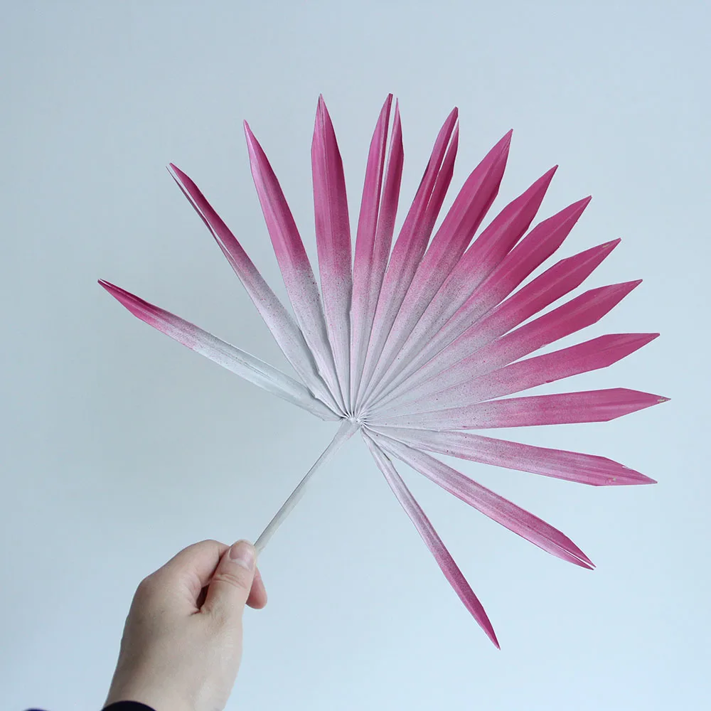 Primary Source Wholesale  Dried Flower Sun Plam Fan Leaves Sprayed color  Plant Material for Home Hotel Office Party Wedding Dec