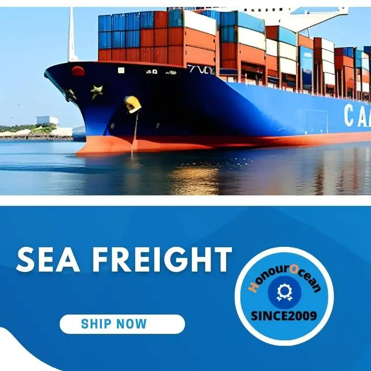 china top 10 freight forwarders international shipping  sea shipping agent china to Czech Republic