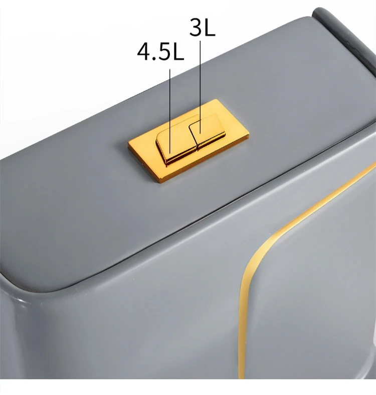  Grey Gold Bathroom Ceramic Washdown Toilets One Piece WC P-trap/S-trap Colored Gray Toilet