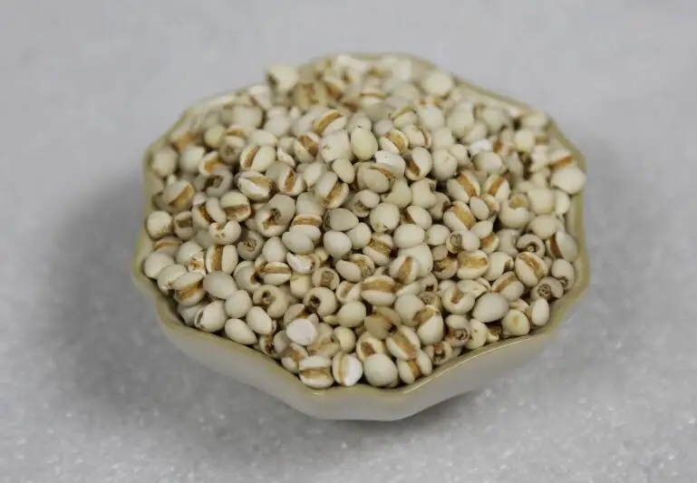 coix seeds