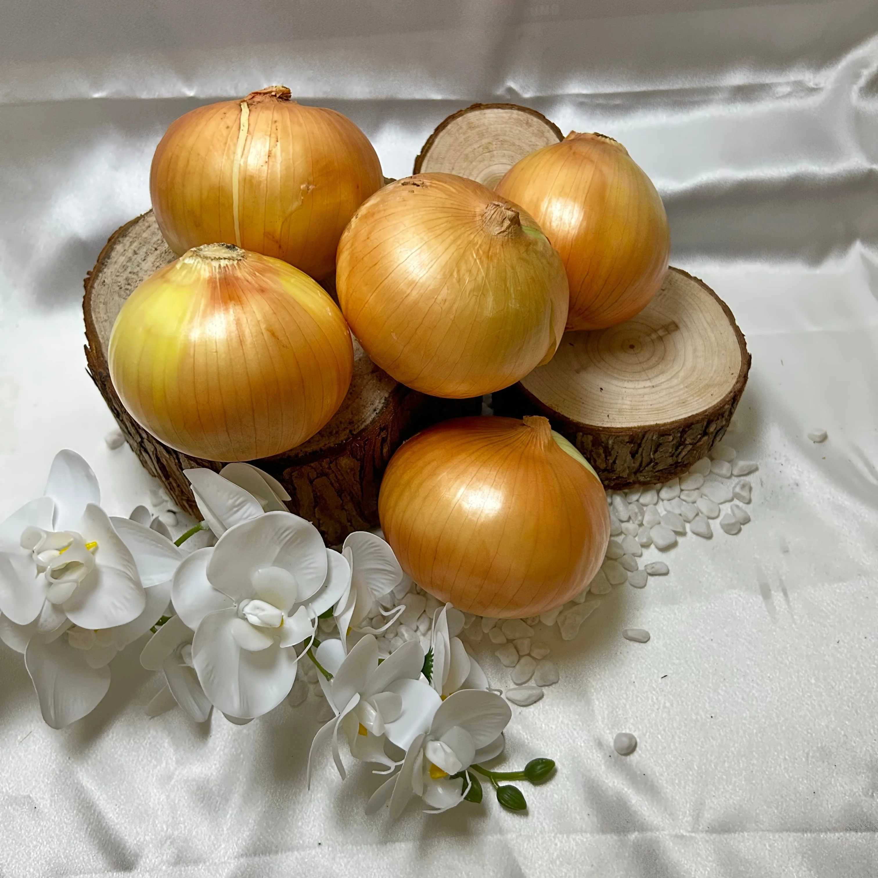 Buy High Quality Yellow Onion from China Best Wholesale Price Fresh Crop Yellow Onion