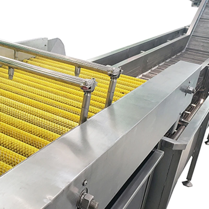 Ligong Commercial Salad Radish Washer Leaf Vegetable Washing Machine Date Palm Themed