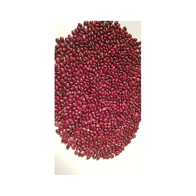 Natural Delicious Healthy Good Premium Quality And Hot Seller Red Kidney Beans(Gojam) For Wholesale