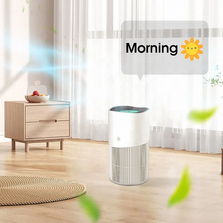 OEM ODM Smart Air Purifier for Home Bedroom with H13 Air Filter for Quiet Air Cleaner