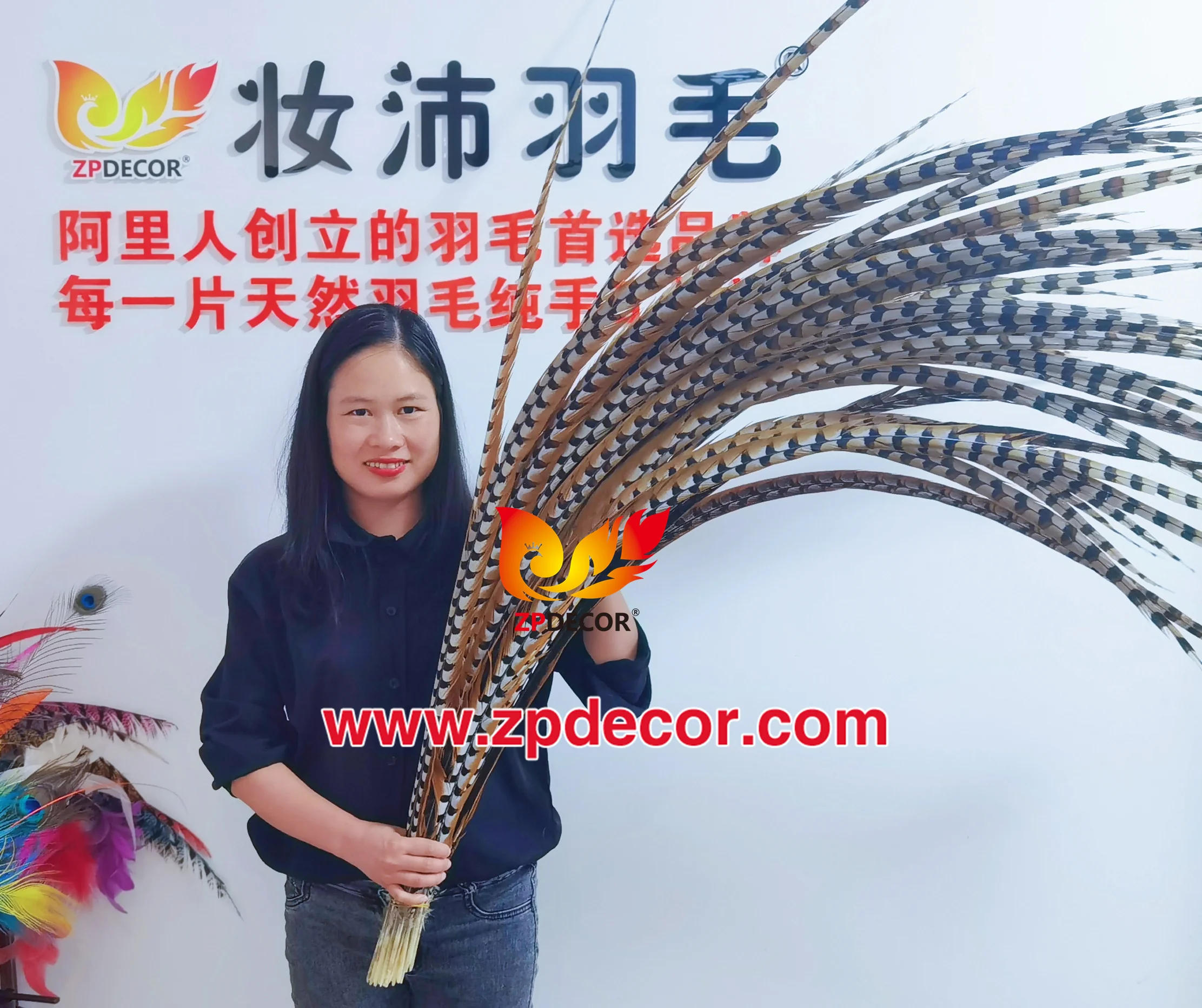 Zpdecor Feathers Wholesale Stock Super Long Natural Reeve Pheasant Tail Feathers for Carnival Costumes