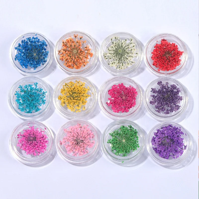 New Nail Art Pressed Dried Flower Box Nature 3d Flower Decoration Dry Flower Nail For Uv Gel Acrylic Nail Art