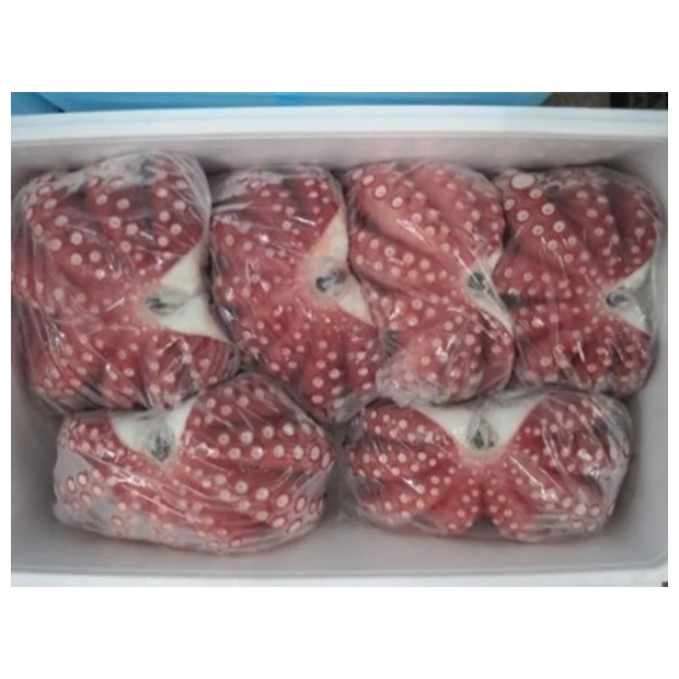 Japanese high graded TAKO frozen seafood price of fresh octopus 10kg