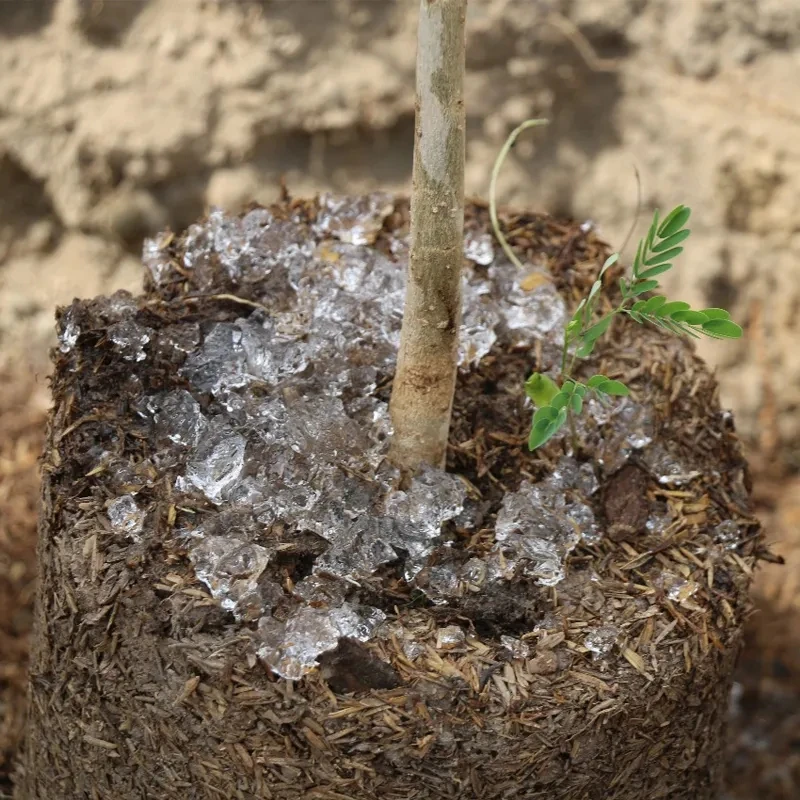 Water Absorbing Crystals Super Absorbent Polymer/Potassium Polyacrylate Sap for Crops