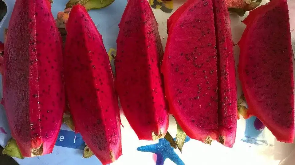 
Red/White flesh dragon fruit from Vietnam with great price, limited offer! 