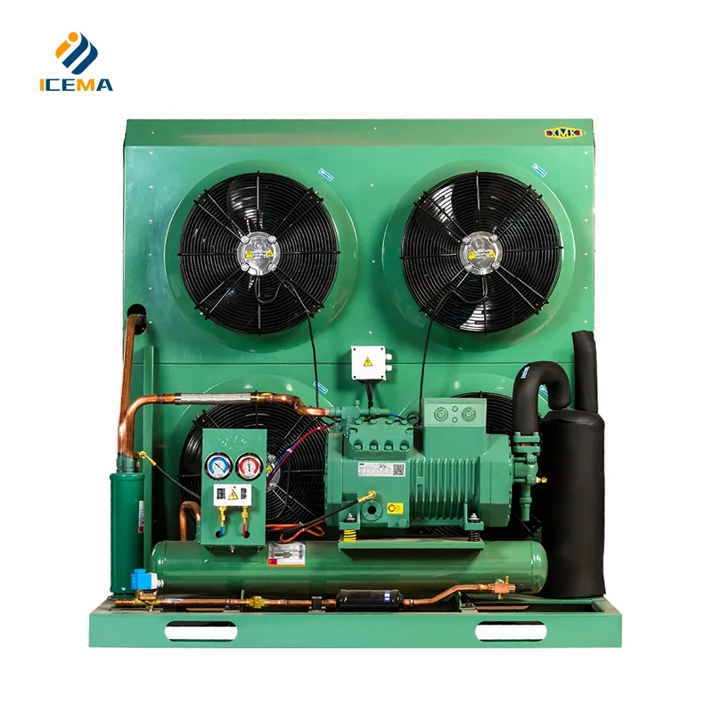 Professional Freezer room refrigeration unit cold room condenser unit cold storage refrigerating machine Unit