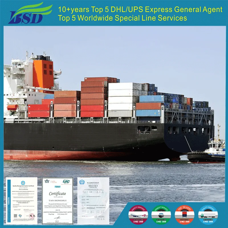 Ddp Door to Sea Air Freight Forwarder Service Shipping Agents Douala Cameroon From China