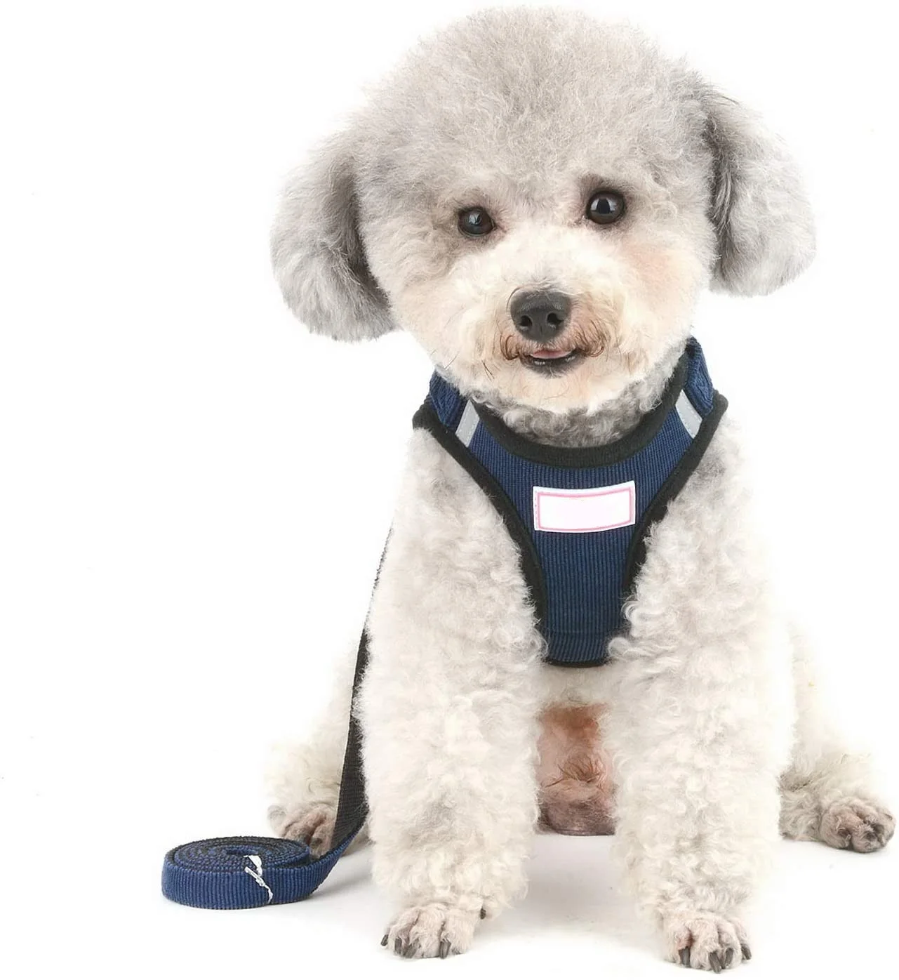 Сетчатая шлейка для кошек, не натягивается, не сдувается, для маленьких собак, жилет с подкладкой и поводком, прогулочная куртка для котят с тренировочным воротником