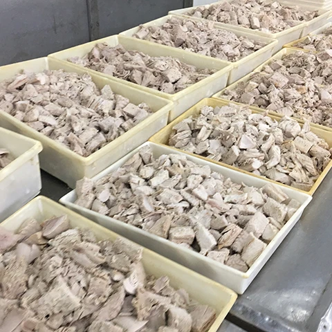 Замороженные морские продукты Бонито тунец чешуйчатая рыба