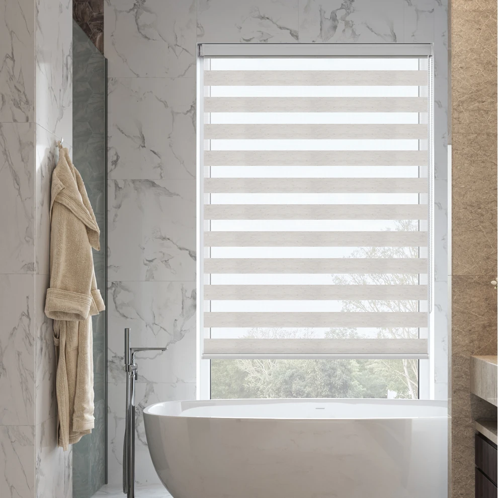 Cored Day and Night Zebra Roller Blind Double Fabric Translucent or Blackout Vision Curtains for Window  with Aluminium Cassette